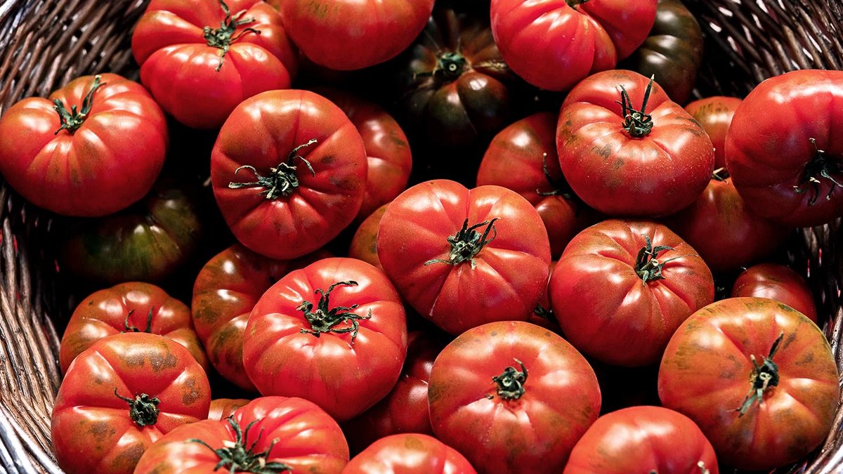 Tomato compound may protect against fatty liver disease - tomato compound fatty liver