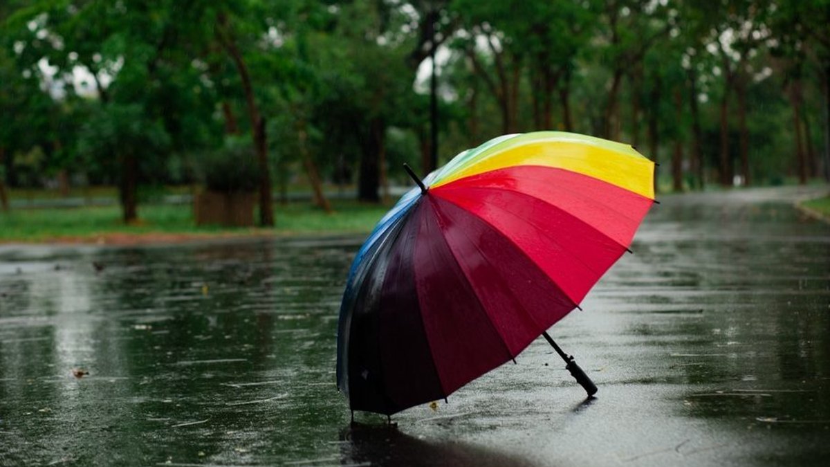Investors Should Gauge Risk Tolerance for ETFs - etf risk