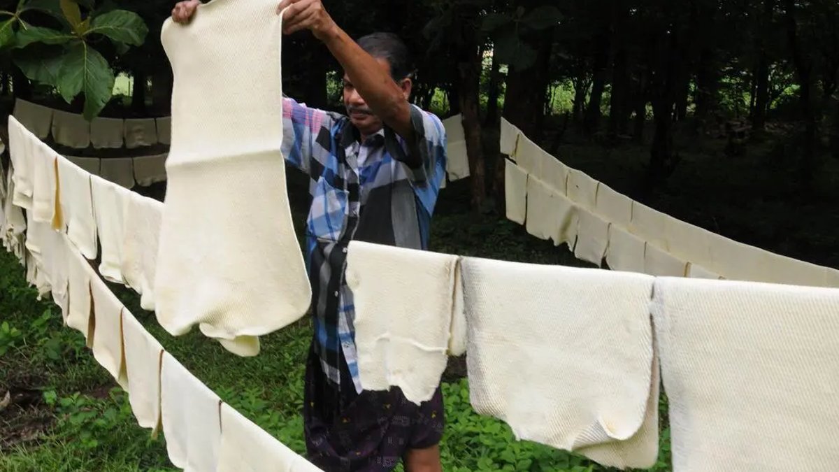 mRube natural rubber trade hits ₹1,000 crore - mrube natural rubber