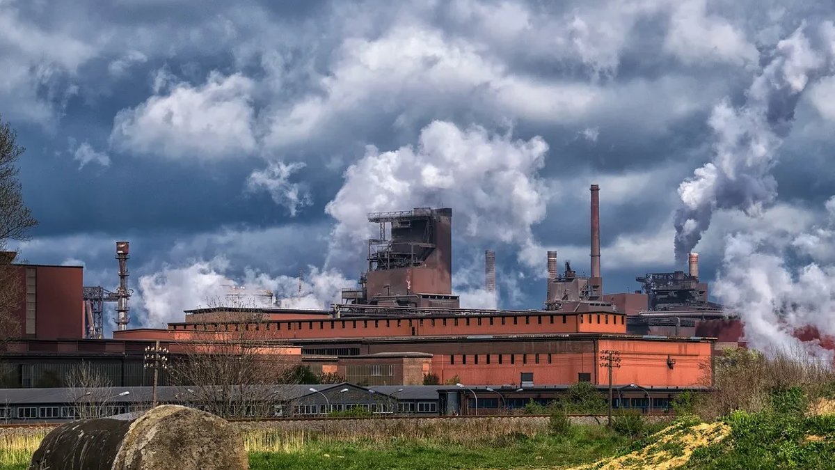 Strategic plants get green guarantees - strategic plants guarantees