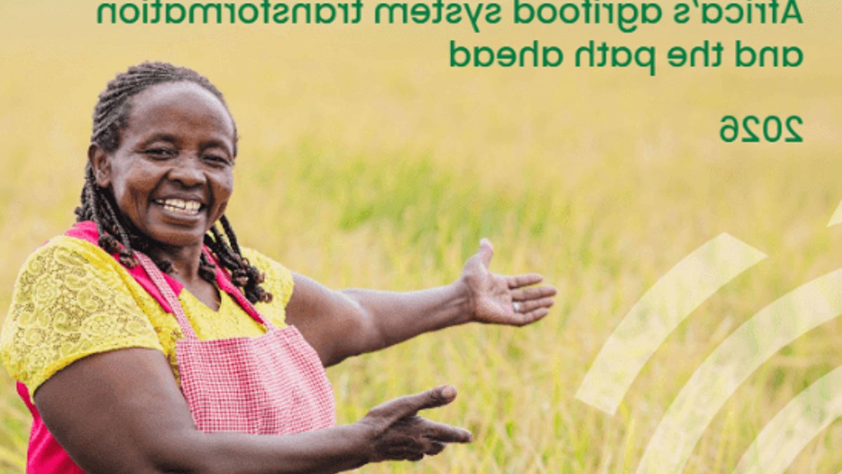 Africa's Farm Output Doubles, $180bn Gap Threatens Growth - agricultural finance