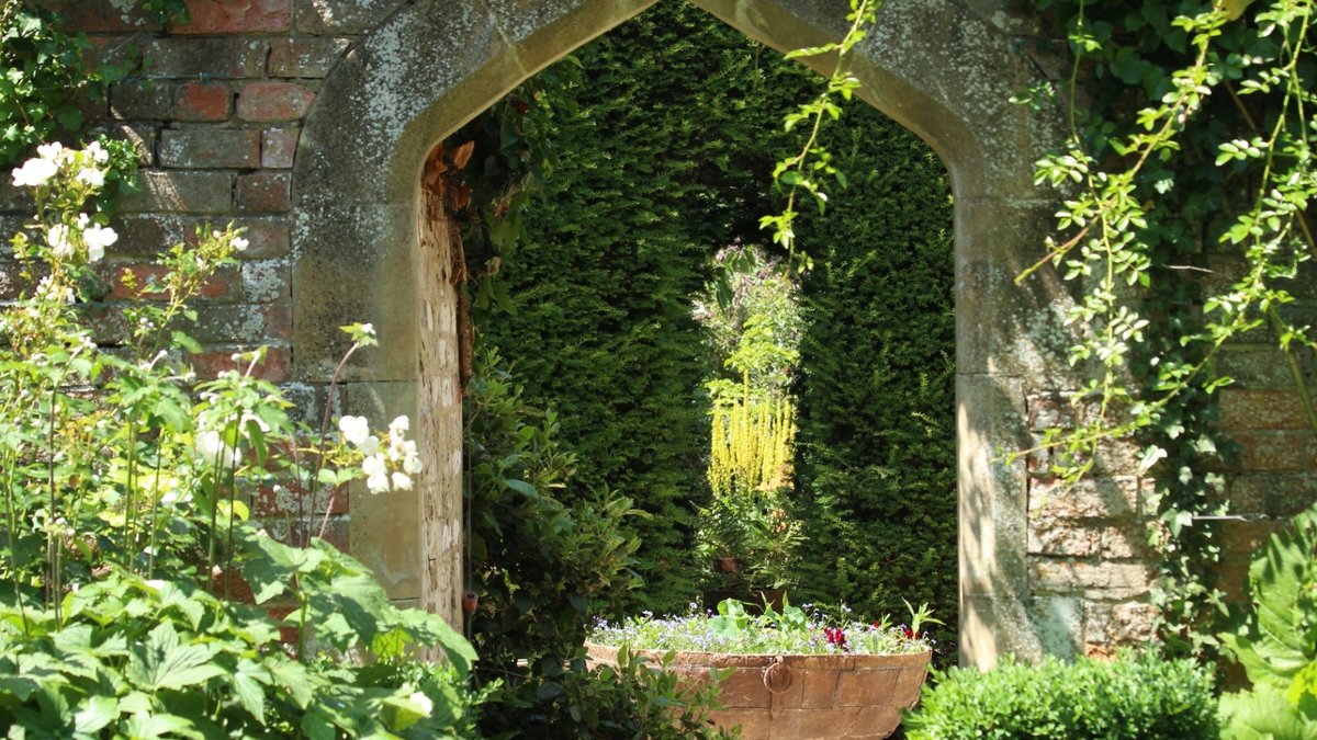 September gardening tasks for a thriving space