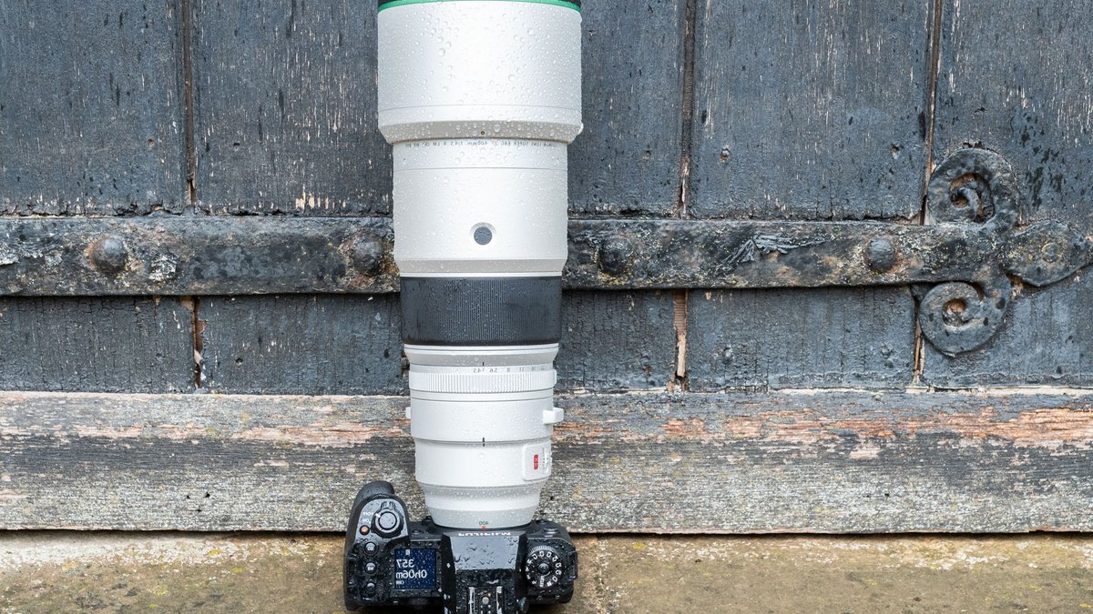 Fujifilm 400mm f/4.5 Lens Tested on Raptors - fujifilm 400mm lens