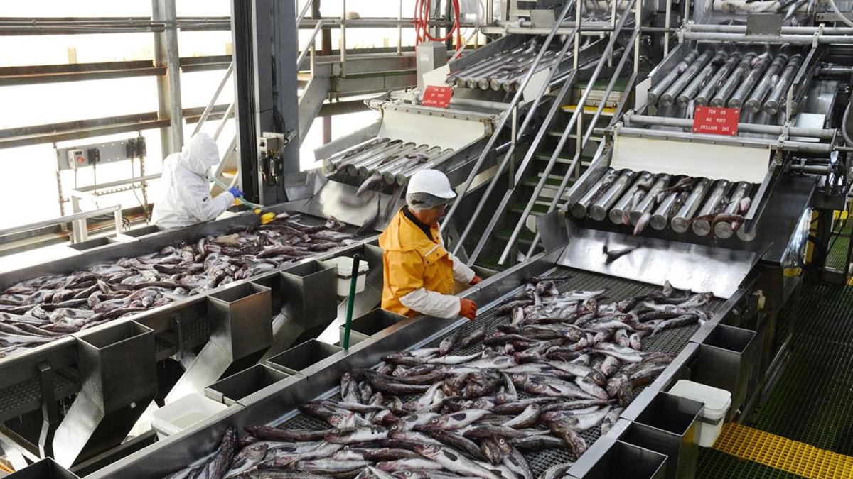 Russian Fish Outwits Latest Sanctions - russian fish,european sanctions