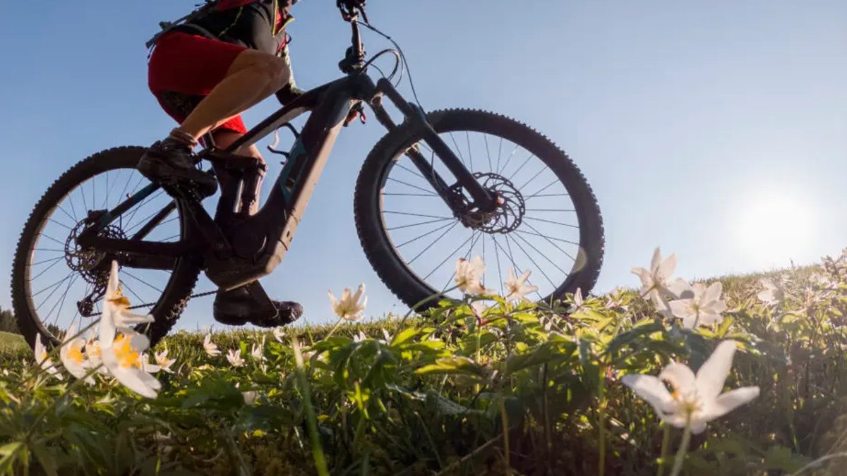 Data First, Policy Later Data First, Policy Later - e-bike recycling