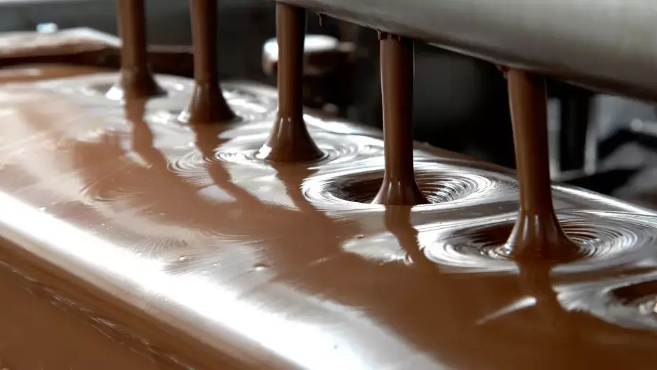 Understanding the Performance and Maintenance of Chocolate Pumps and Progressive Cavity Pumps