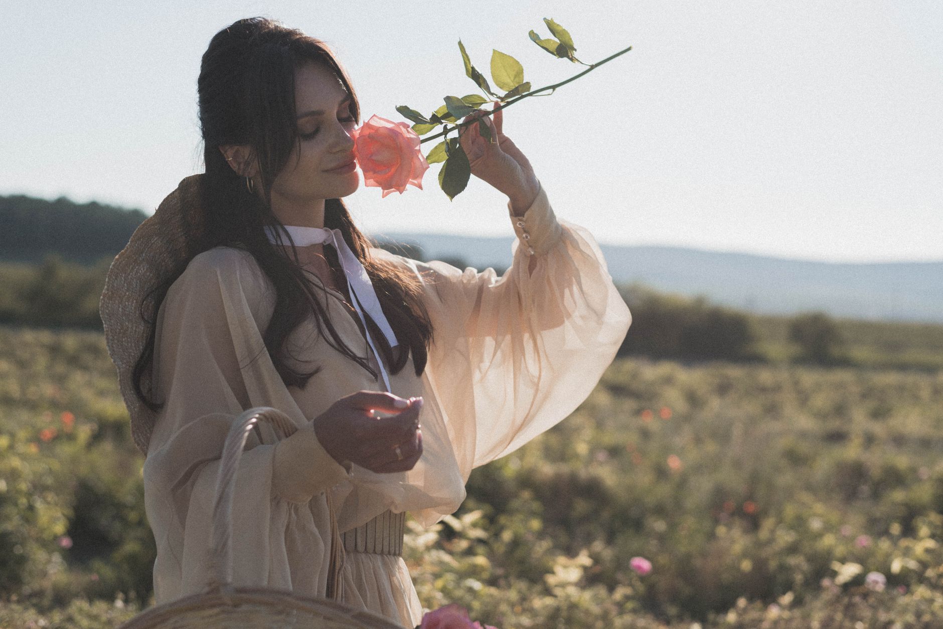 Amouage Launches Supply Chain for Omani Rose