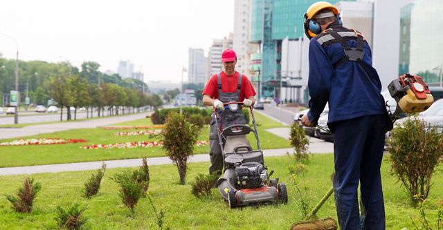 Professional Landscaping Companies and Lawn Care Services in the Region