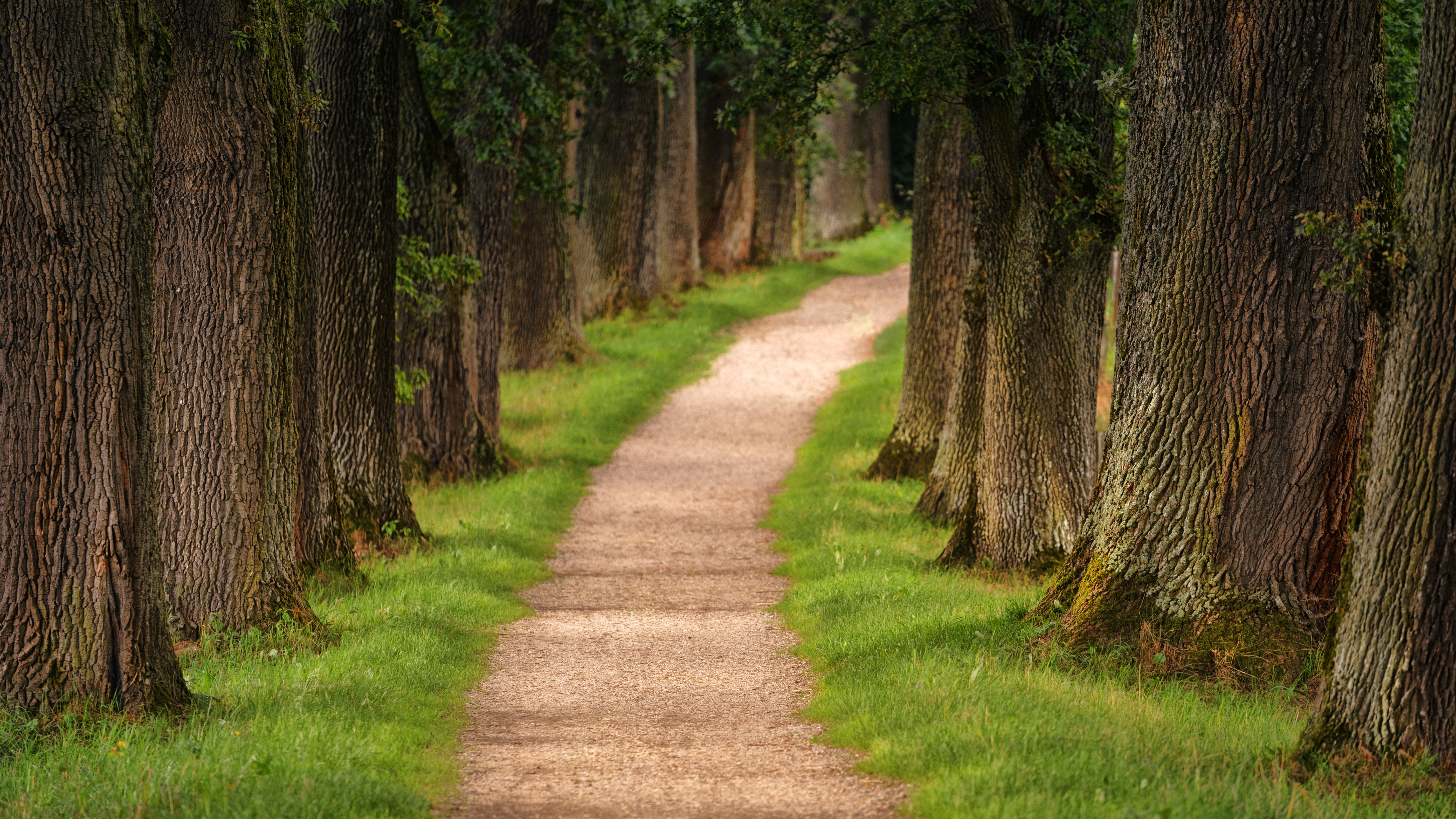 Keener Management: A Path to Better Business