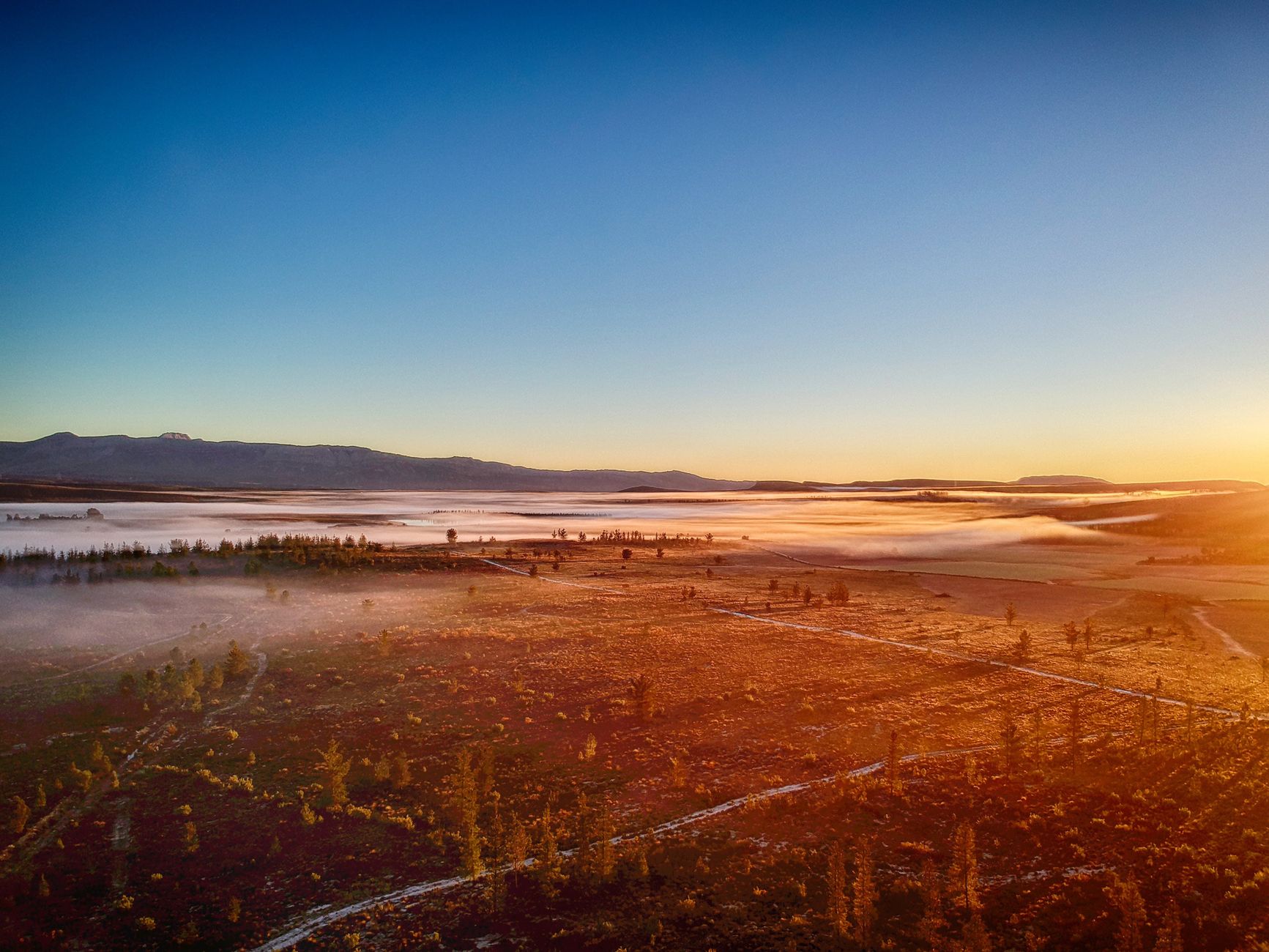 How Cape Winelands Airport Will Redefine Africa’s Tech and Aviation Hubs