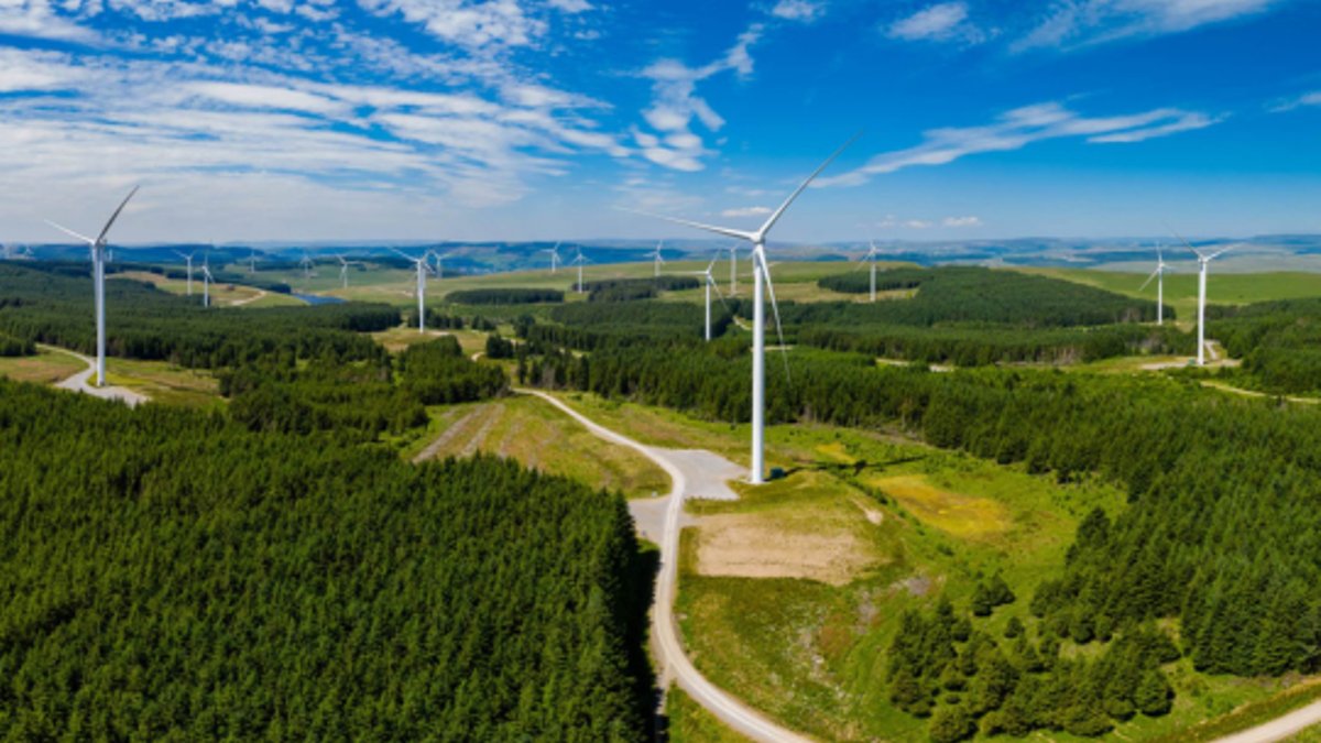 Grid delays threaten UK's onshore wind goal - onshore wind