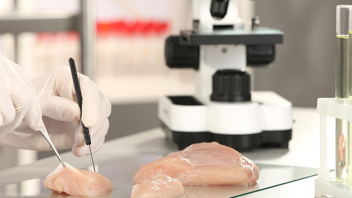 Scientist inspecting meat sample in laboratory, closeup. Food quality control.