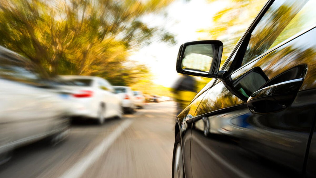 Foliage overgrowth blamed for speeding accidents - foliage overgrowth