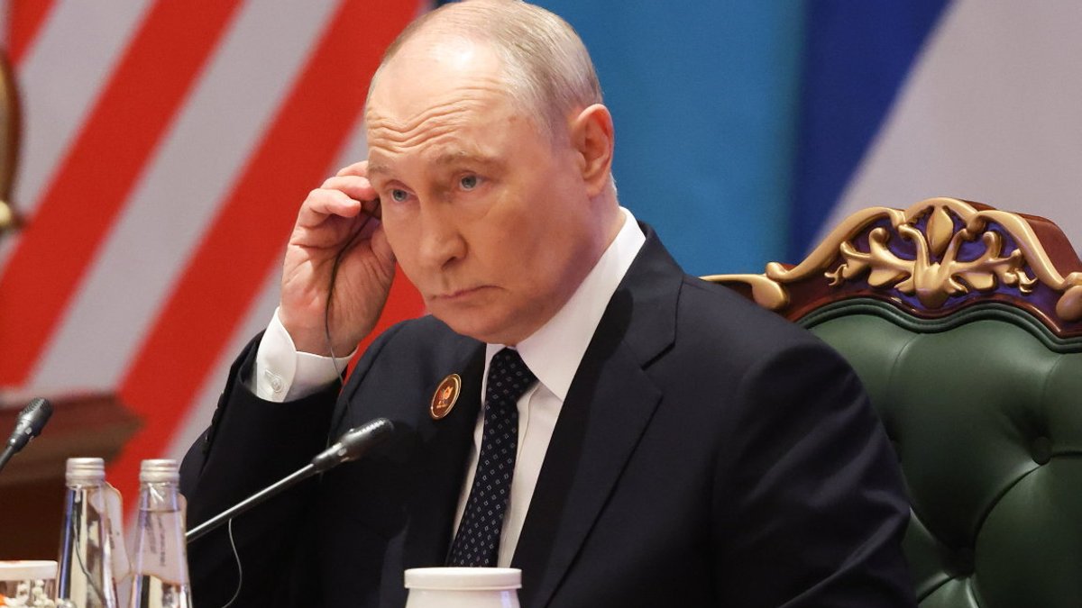 Putin wants greater global South influence in UN Security Council - global south influence