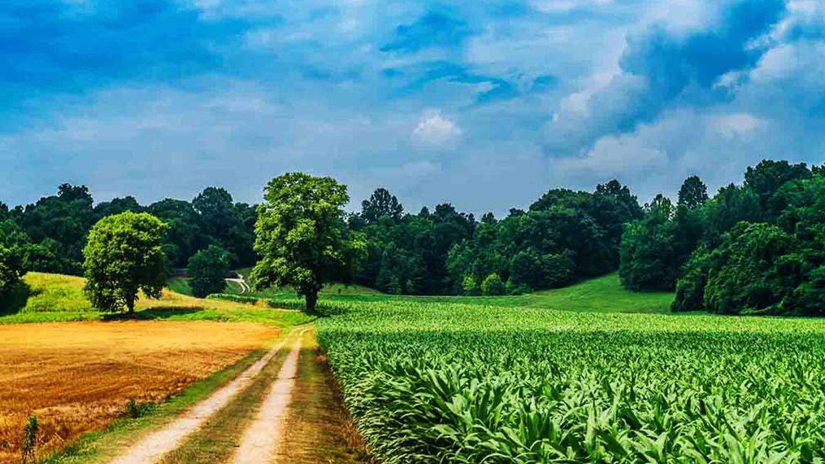 Indiana Gets $120 Million to Boost Rural Healthcare Indiana Gets $120 Million to Boost Rural Healthcare - rural healthcare