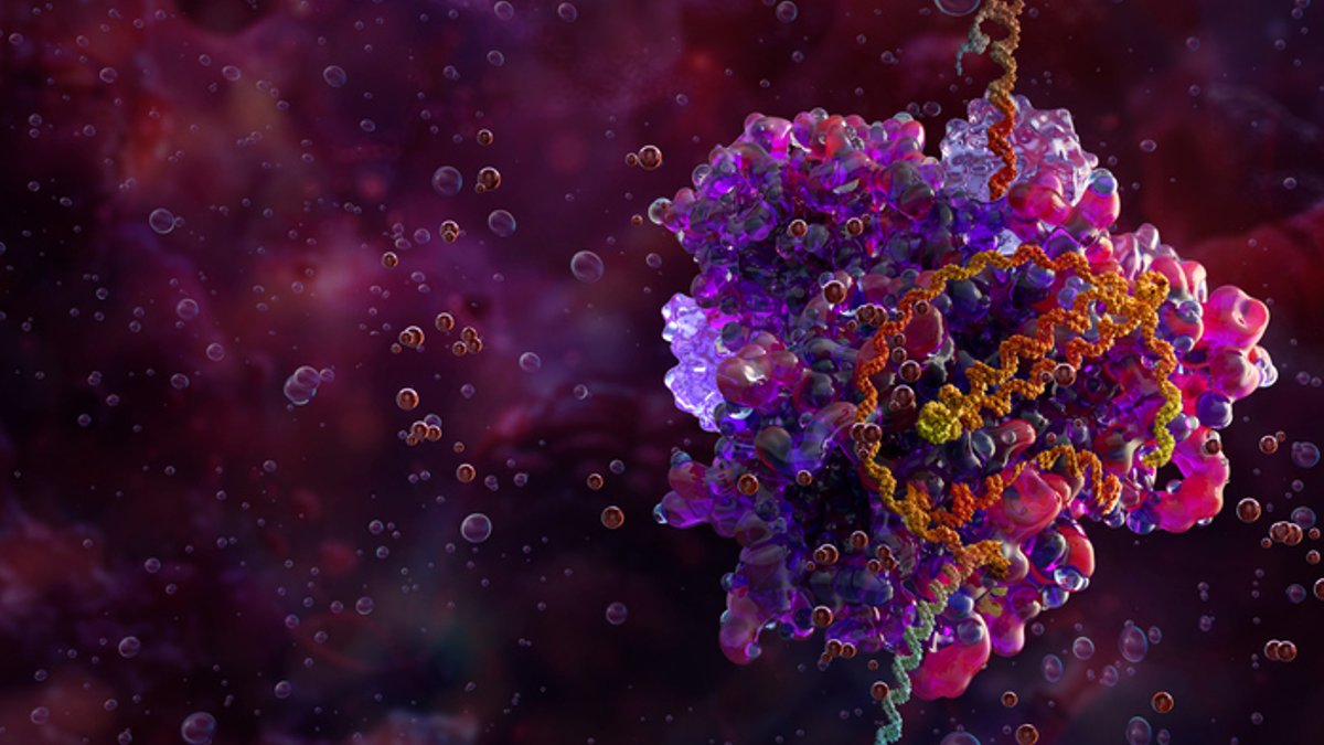 New CRISPR Tool Finds Genes Behind Lymphoma Drug Resistance - crispr tool lymphoma