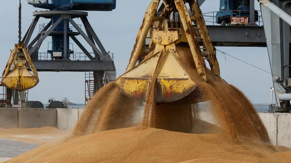 Bangladesh resumes major Indian wheat purchases amid supply shifts Bangladesh resumes major Indian wheat purchases amid supply shifts - indian wheat purchases