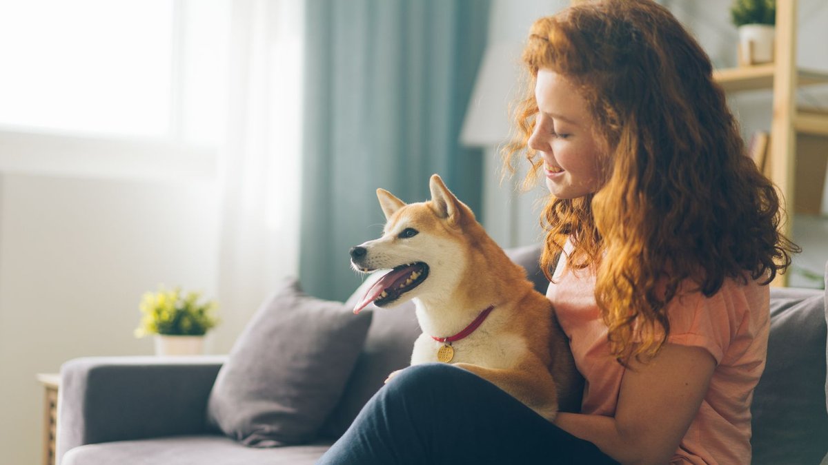 Pet insurers seek flexible plans for aging pets Pet insurers seek flexible plans for aging pets - pet insurance aging pets