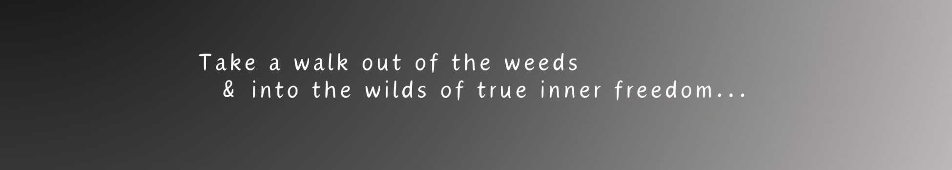 Cover Photo