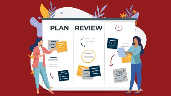Book Alex Rollin
