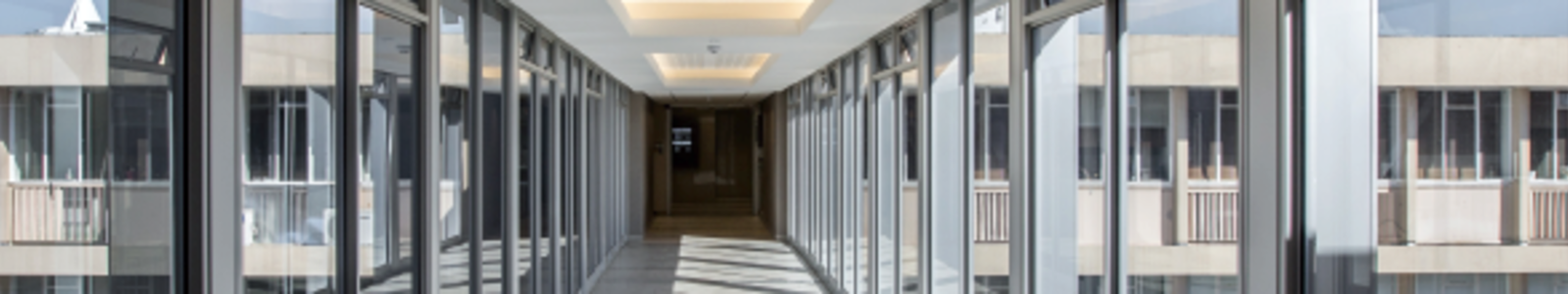 Common Aspects of Corporate Lease Structuring