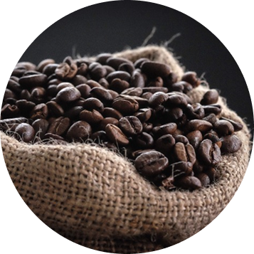 Mentorled header image