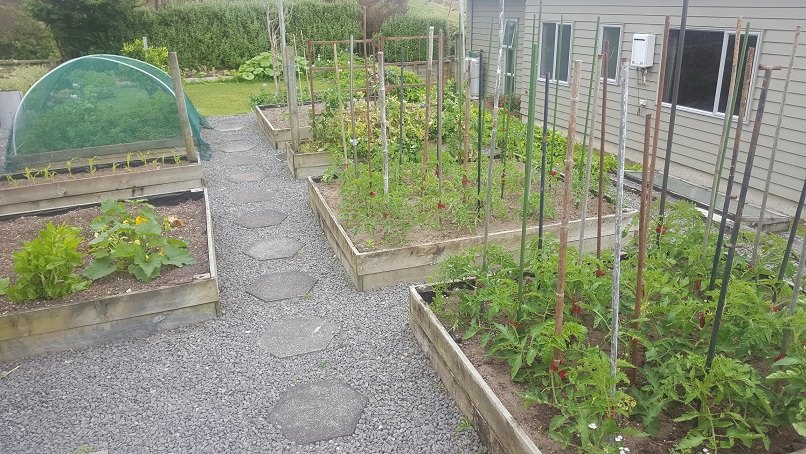 vege garden