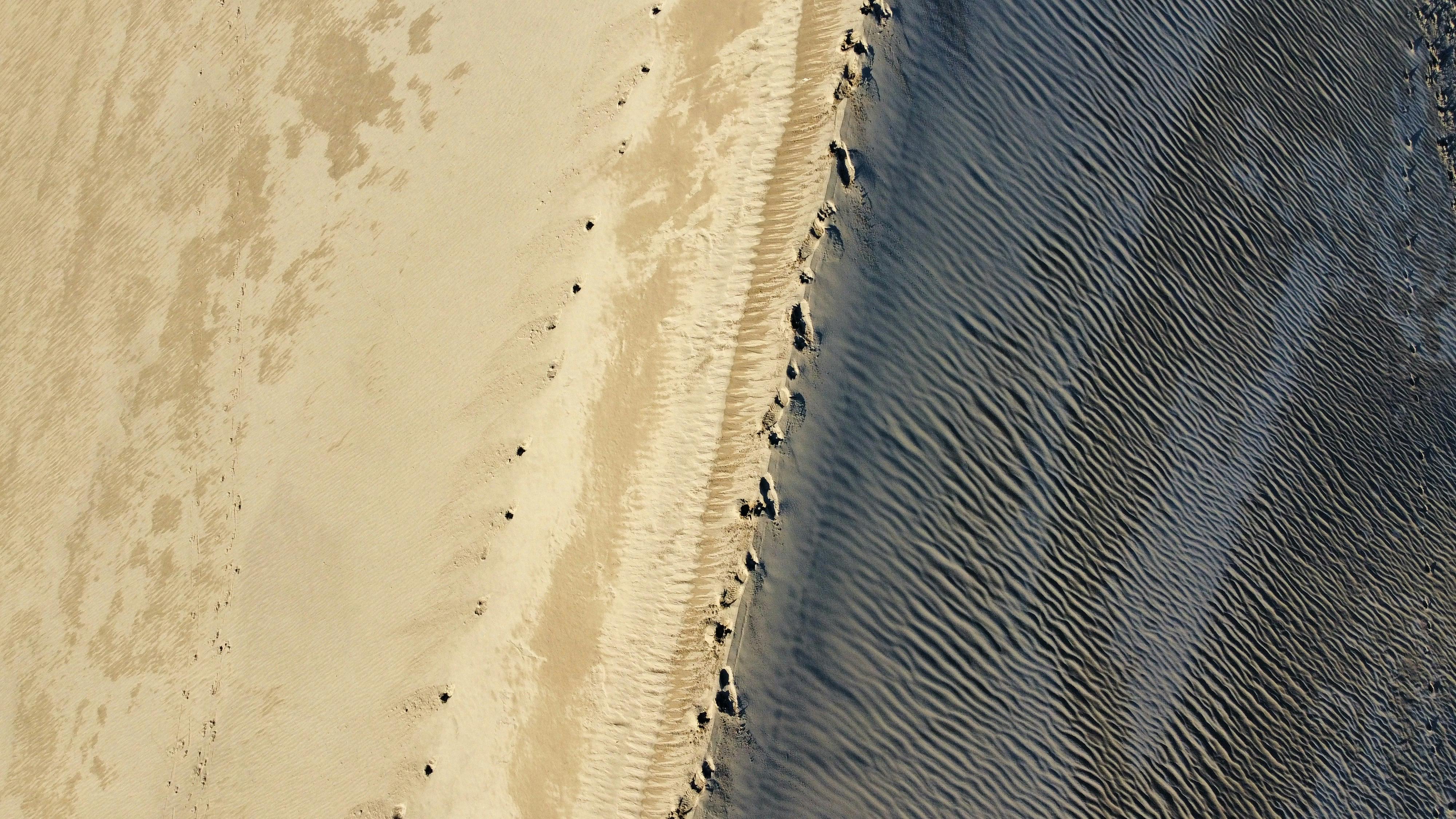 Tracks in sand