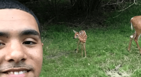 These Does Ain't Loyal': Twitter Is Tickled By Deer Whisperer Who's Himself 'Brother Nature' - Blavity News