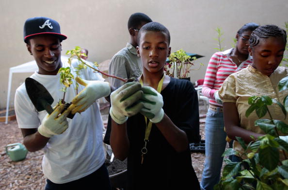 4 Black Environmental Orgs You Should Know About