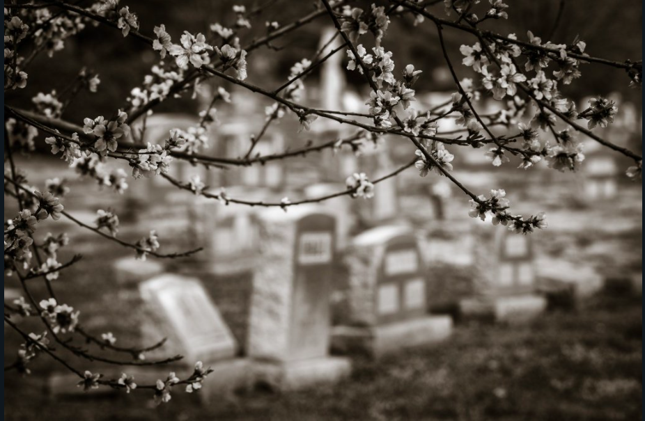 Archaeologists Surveying Delaware Site Find What Appears To Be Unmarked African-American Grave Site