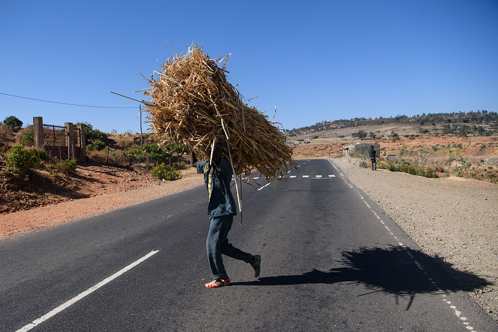 The European Union Will Build A Road Connecting Former Foes Ethiopia And Eritrea