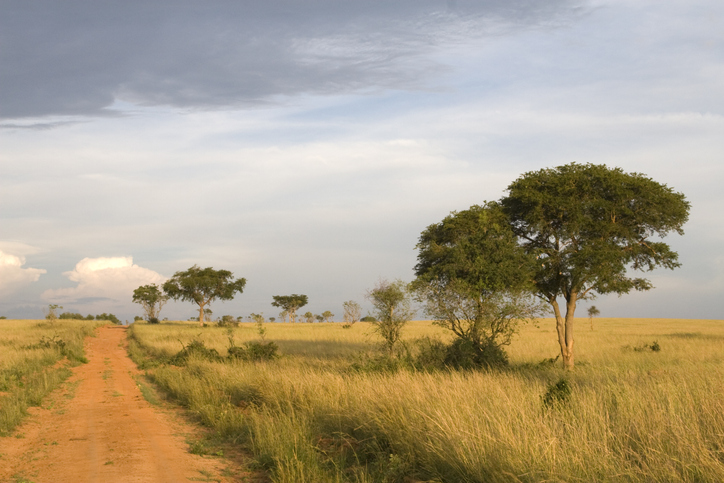 A Ugandan Man Became A Lawyer And Won Back His Family's Stolen Land After 23 Years