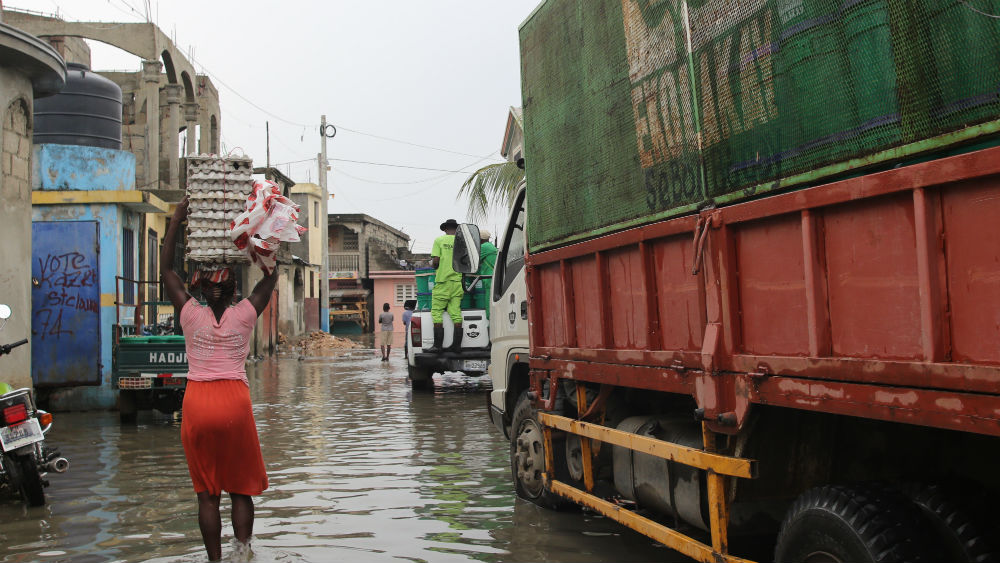 How This Org Is Helping Haitians Reclaim Their Land By Working To Combat Environmental Racism