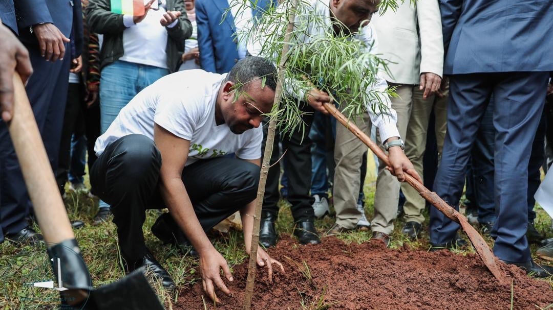 Ethiopia Breaks World Record By Planting Over 350 Million Trees in 12 Hours To Combat Climate Change