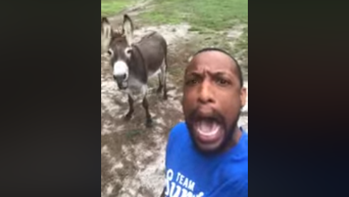 South Carolina Man Goes Viral For 'Circle Of Life' Duet With His Donkey