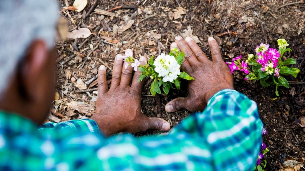 The Benefit Of Having More Black Decisionmakers In Environmentalism