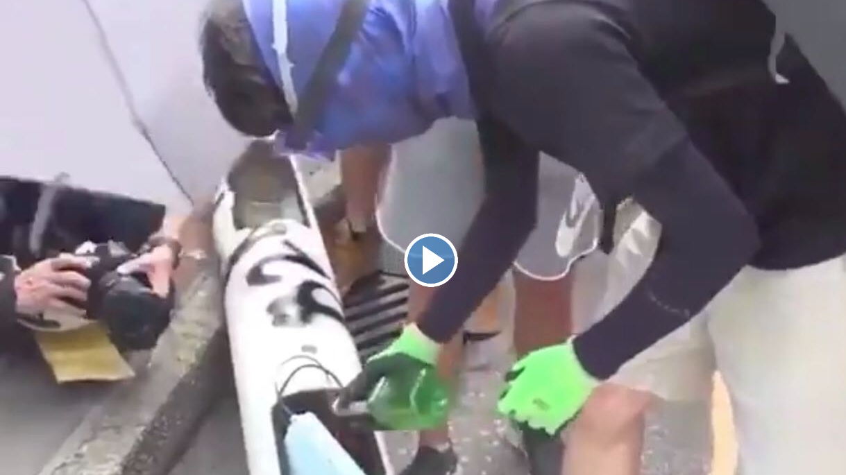 Hong Kong Protesters Cut Down Facial Recognition Towers To Combat State Surveillance