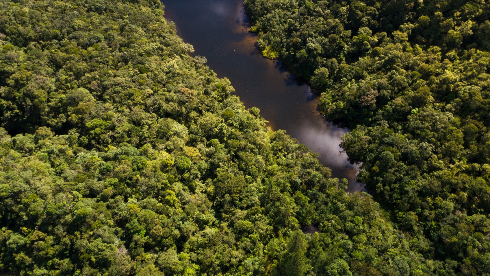 Angola And The Democratic Republic Of Congo Have Had More Fires Than The Amazon Rainforest