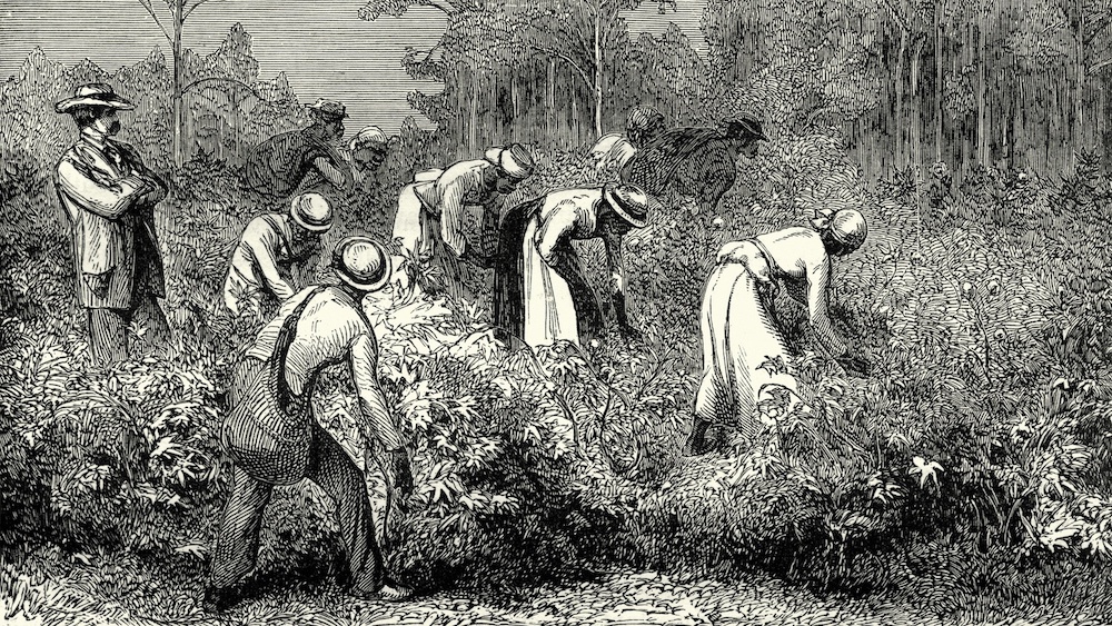 Why We Need A Serious Reeducation On Slavery