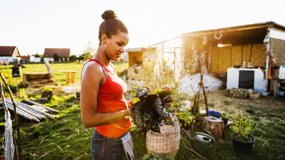 Inequity Takes A Toll On Your Gut Microbes, Too