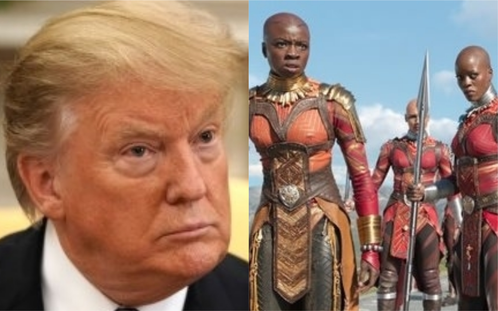 According To The U.S. Government, We Have Excellent Trade Relations With Wakanda...No, Seriously.