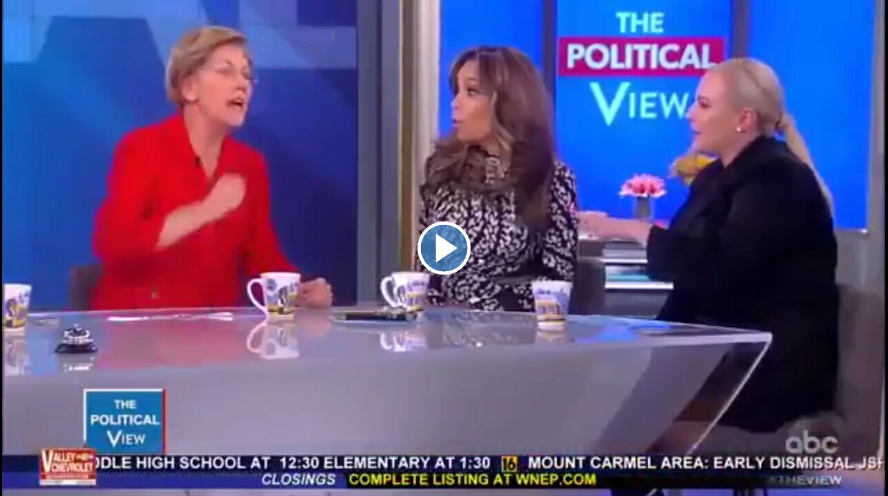 Elizabeth Warren Ignoring The Crap Out Of Meghan McCain On ‘The View’ Is A 2020 Election Mood