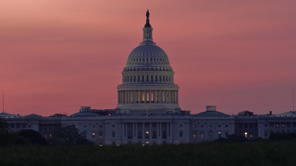 Coronavirus Restrictions Could Lead To Remote Voting For Congress