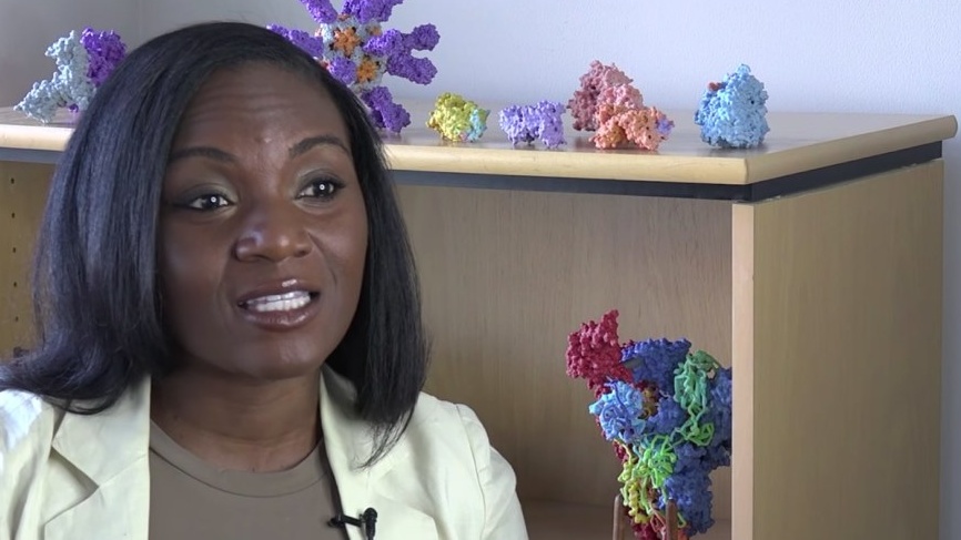 Dr. Kizzmekia Corbett Is Leading The Research Team Working To Develop A Vaccine For Coronavirus