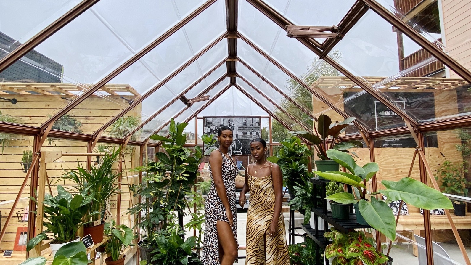 These Oakland Women Opened A Plant Nursery To Prioritize Peace Amid Protests