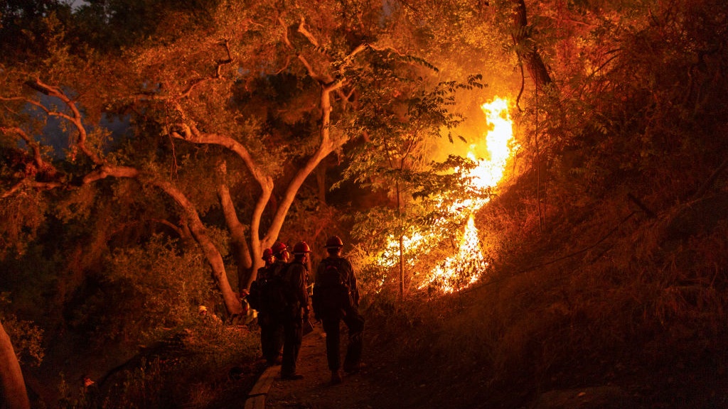 California To Help Incarcerated People Who Fought Against Wildfires Get Jobs As Firefighters In The State