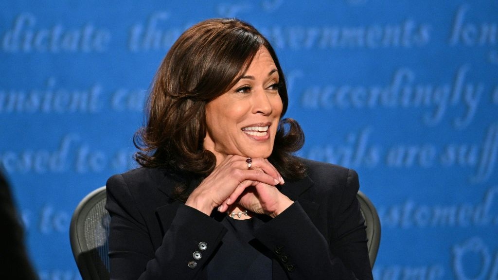 American Airlines Drops PR Consultant Like A Hot Potato After He Calls Kamala Harris Out Of Her Name