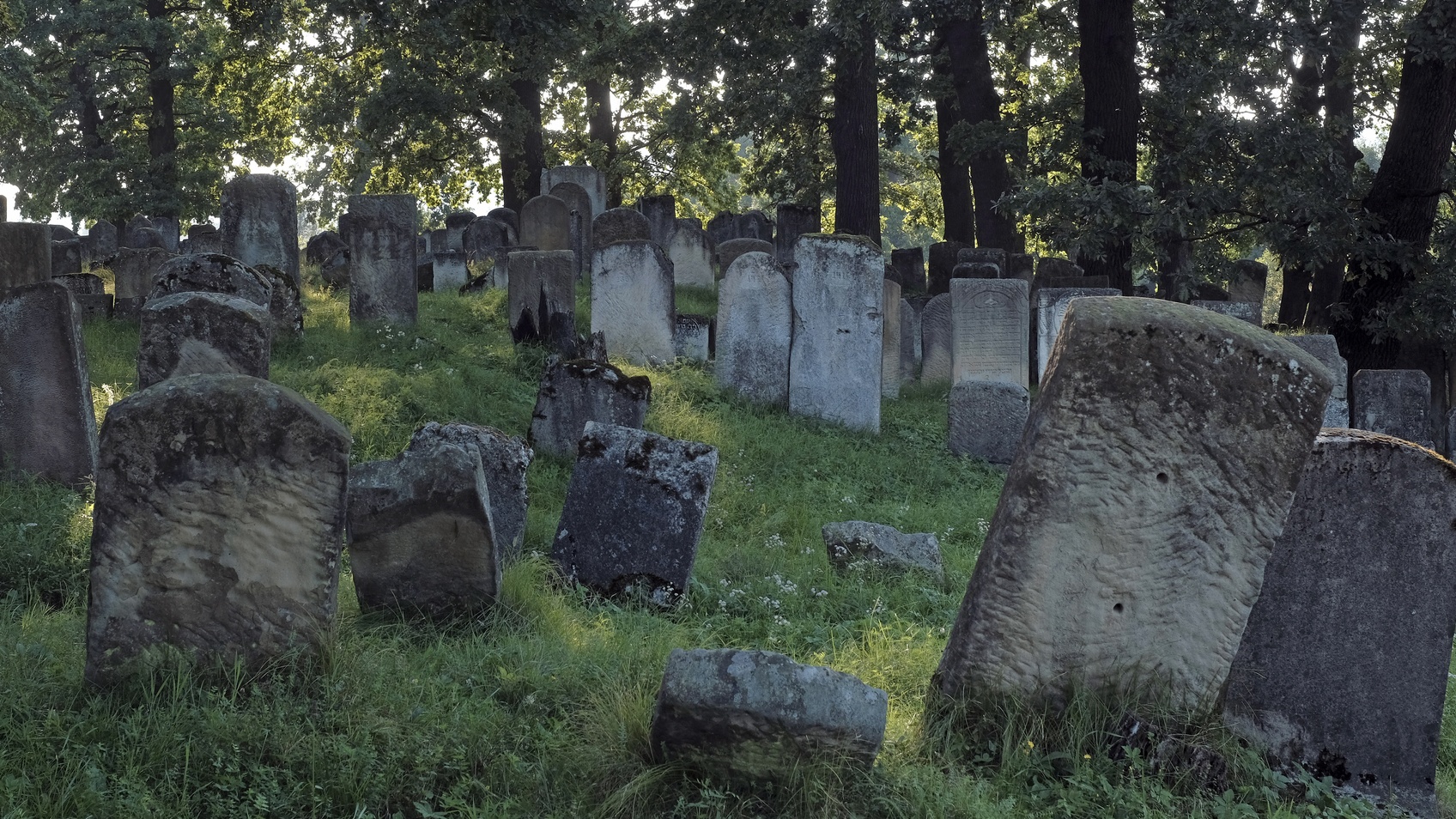 Historical Black Cemetery In Kentucky Vandalized, Community Calls For Volunteer Clean Up Crew