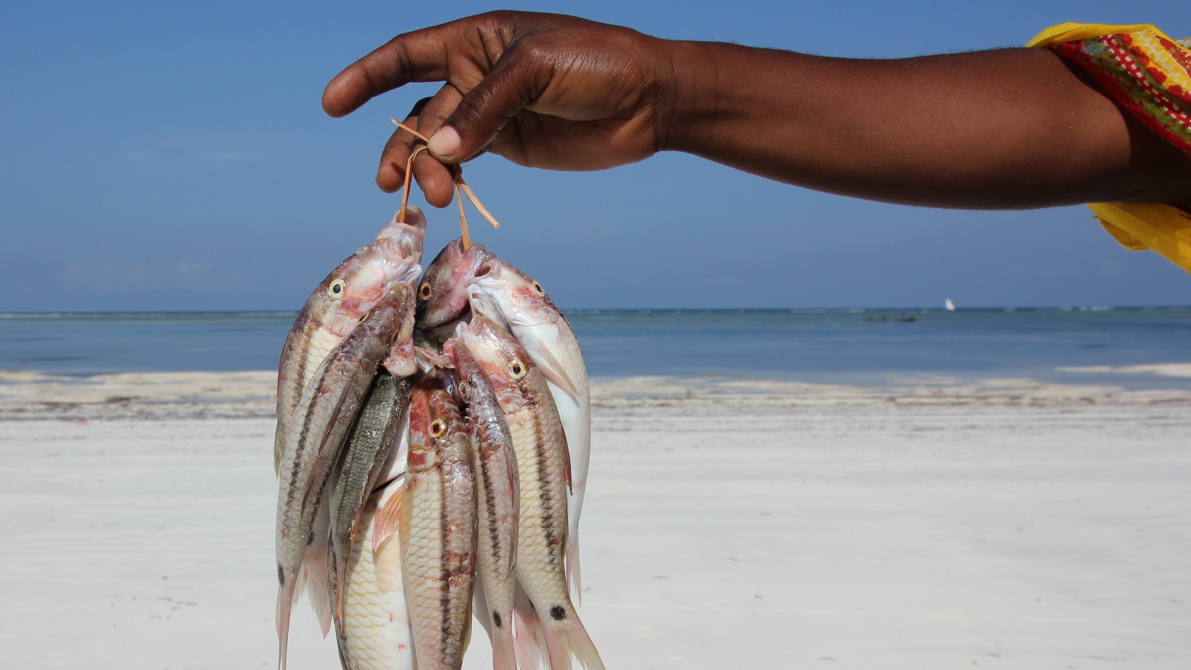 The Ebony Anglers Are Breaking Competitive Fishing Barriers And Winning Tourneys In The Process